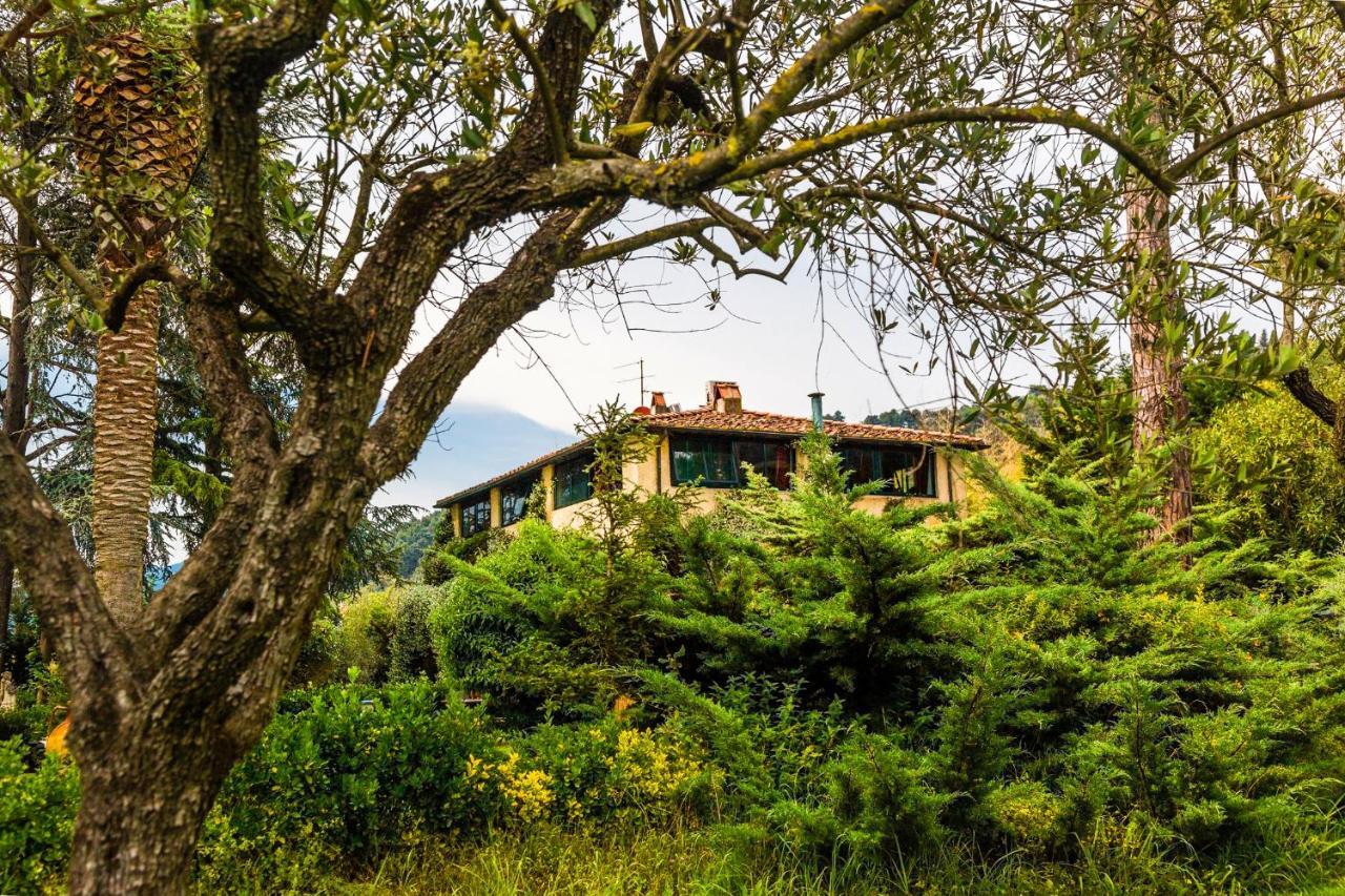 Casa Matilde Bed and Breakfast Mommio Exteriör bild